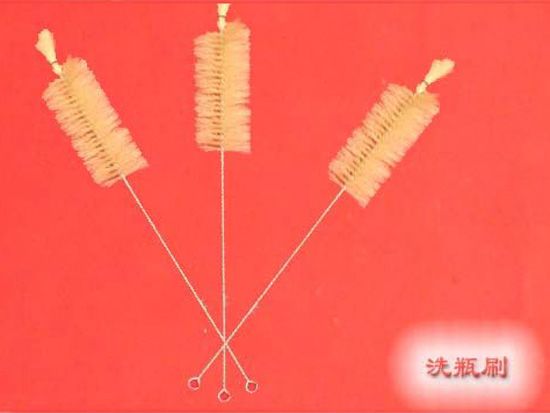 點擊查看詳細信息<br>標題：洗瓶刷 閱讀次數：2451